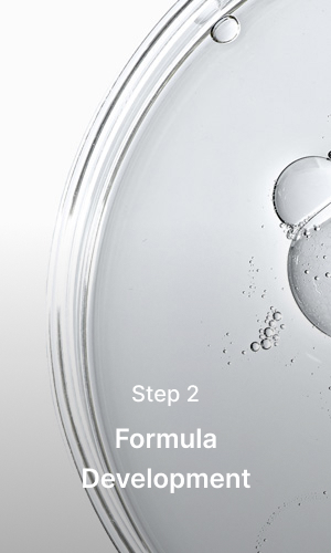 Formula Development