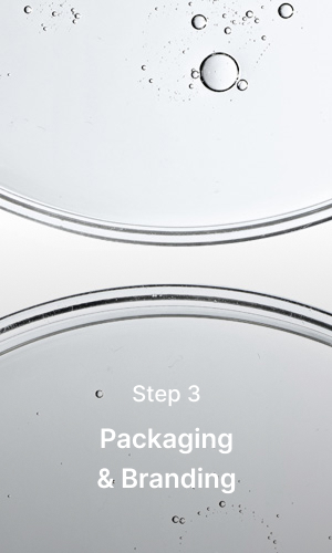 Packaging & Branding